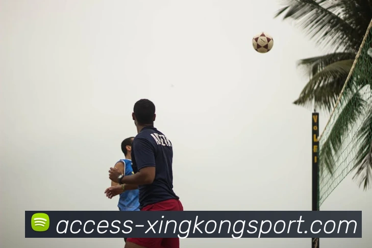 星空体育平台生态图