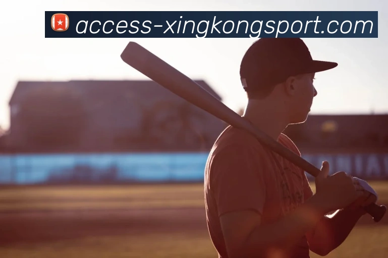 星空体育APP 封面图